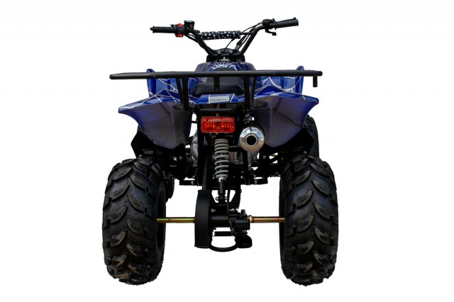 L Blue - Back (IMG_6286) 2